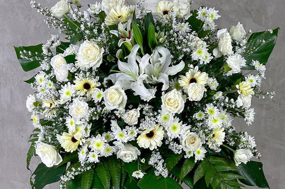 Sympathy & Inaugural